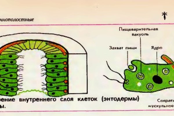 Кракен официальная ссылка зеркало