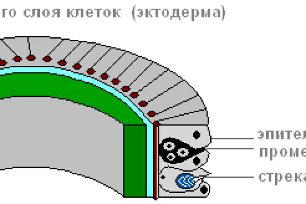 Ссылки для даркнета