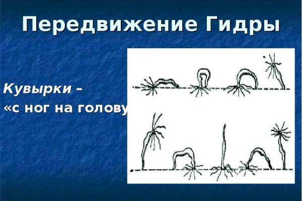 Блэкспрут зеркало кракен